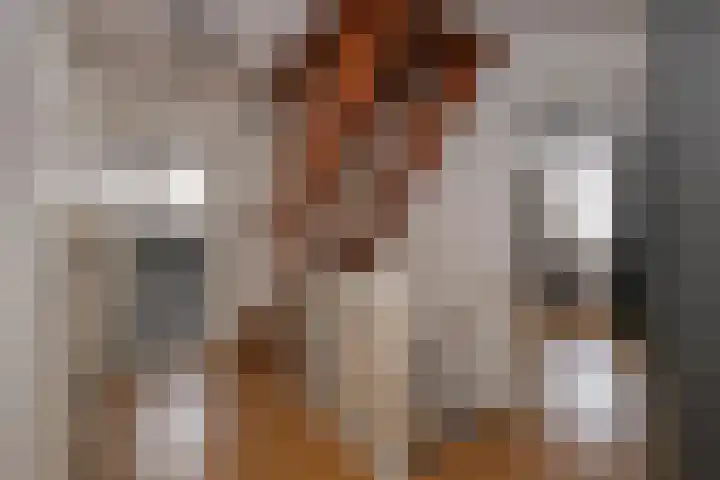 Evvesboer 15 Geesteren thumbnail 22
