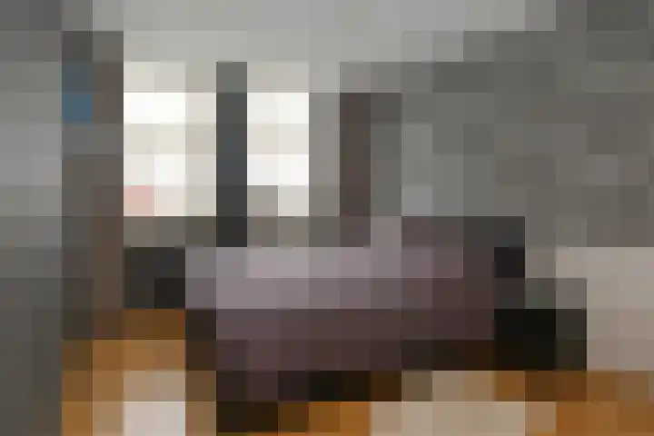 Evvesboer 15 Geesteren thumbnail 24