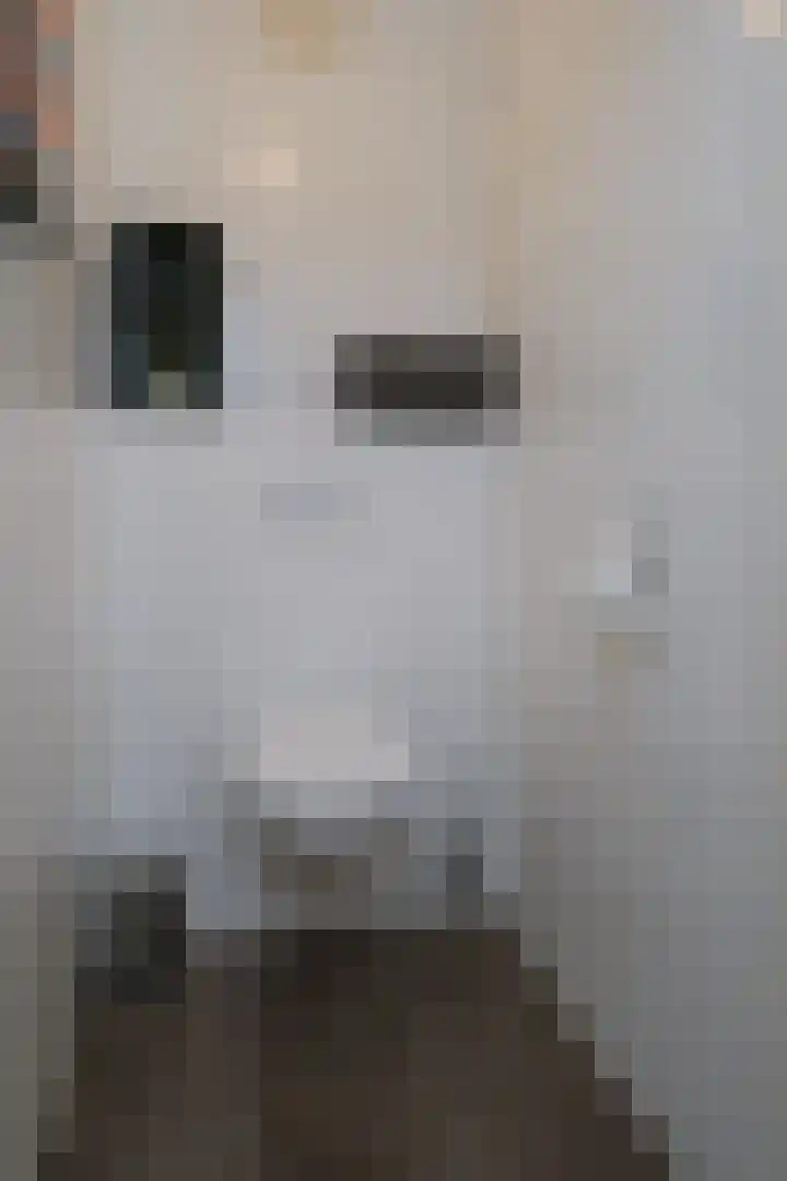 Evvesboer 15 Geesteren thumbnail 29
