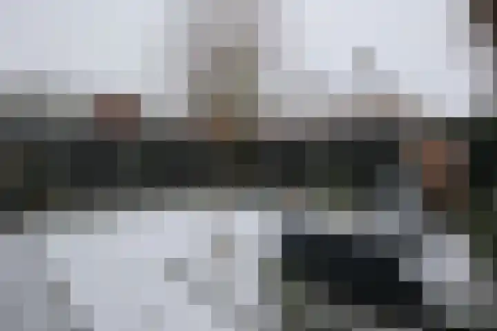 Evvesboer 15 Geesteren foto 3