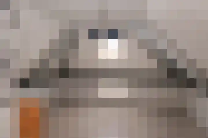 Evvesboer 15 Geesteren thumbnail 30