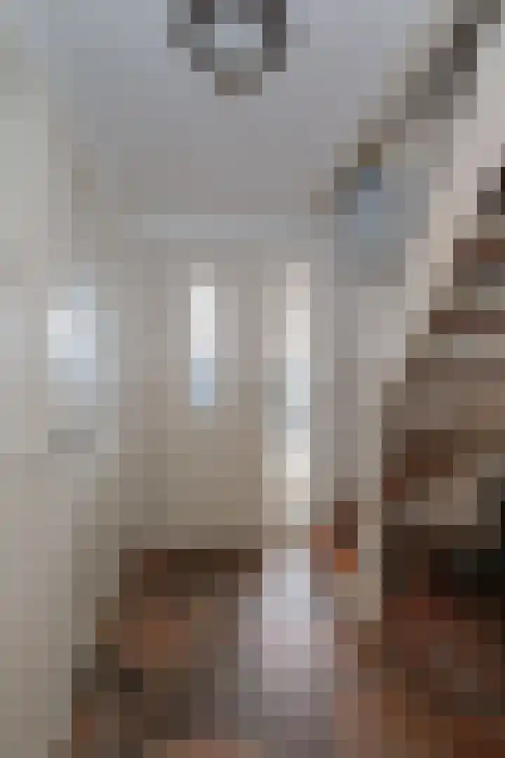 Evvesboer 15 Geesteren thumbnail 7