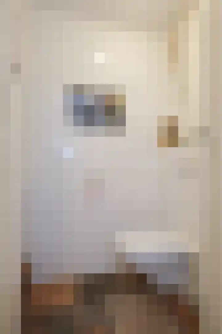 Evvesboer 15 Geesteren thumbnail 8