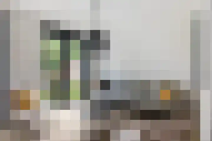 Ewaldina Pijzelhof 4 Dordrecht thumbnail 20