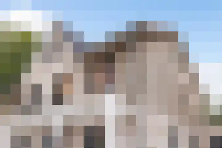 Ewaldina Pijzelhof 4 Dordrecht thumbnail 5