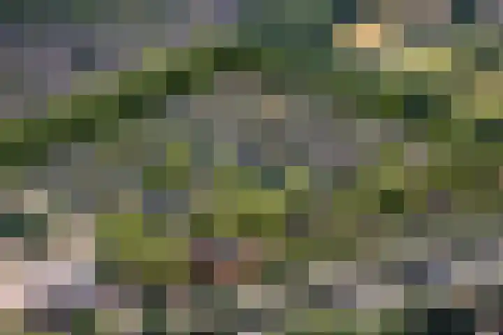 Ewaldina Pijzelhof 4 Dordrecht thumbnail 9
