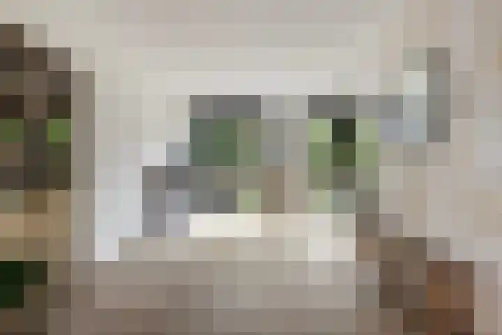 Ewaldina Pijzelhof 5 Dordrecht thumbnail 18