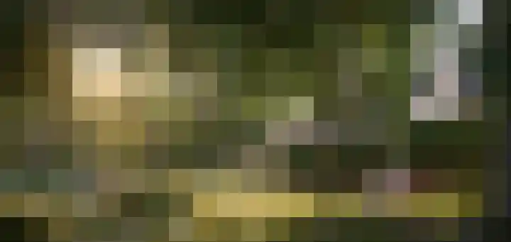 Ewaldina Pijzelhof 5 Dordrecht thumbnail 4