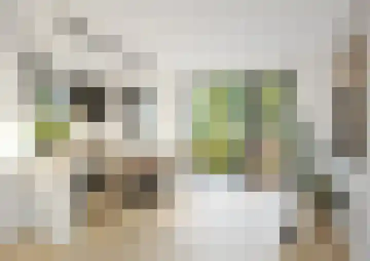Ewaldina Pijzelhof 5 Dordrecht thumbnail 5