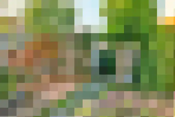 Ewijkplantsoen 4 Hoofddorp thumbnail 20