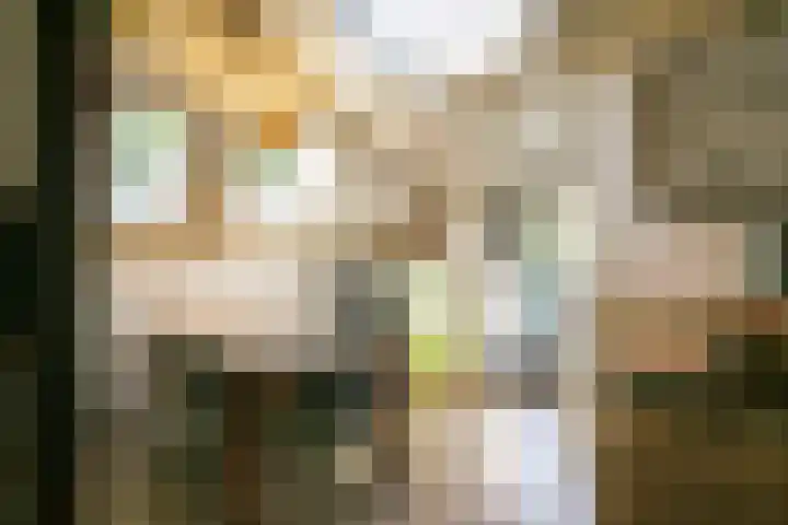 Ewijkseweg 4 Overasselt thumbnail 10