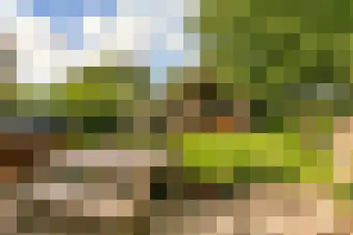Ewijkseweg 4 Overasselt thumbnail 27