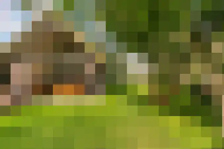 Ewijkseweg 4 Overasselt thumbnail 28