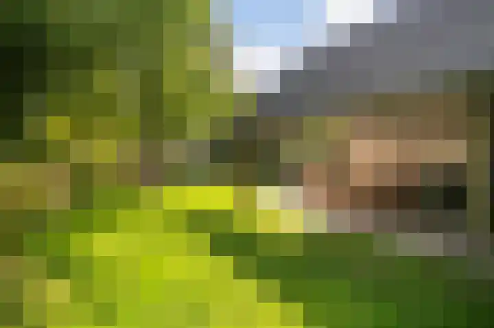 Ewijkseweg 4 Overasselt thumbnail 30