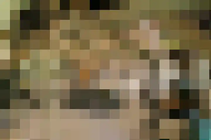 Ewijkseweg 4 Overasselt thumbnail 31