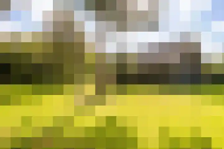 Ewijkseweg 4 Overasselt thumbnail 34