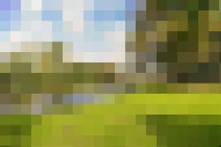Ewijkseweg 4 Overasselt thumbnail 35