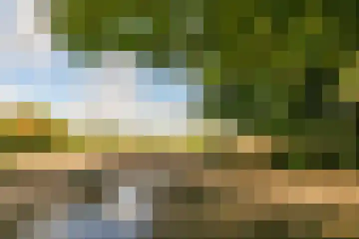 Ewijkseweg 4 Overasselt thumbnail 36