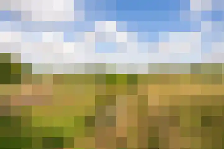 Ewijkseweg 4 Overasselt thumbnail 37
