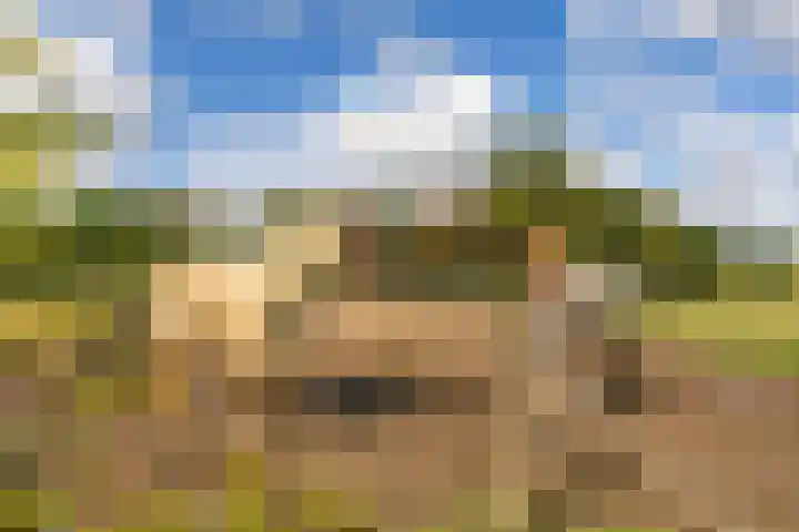 Ewijkseweg 4 Overasselt thumbnail 38
