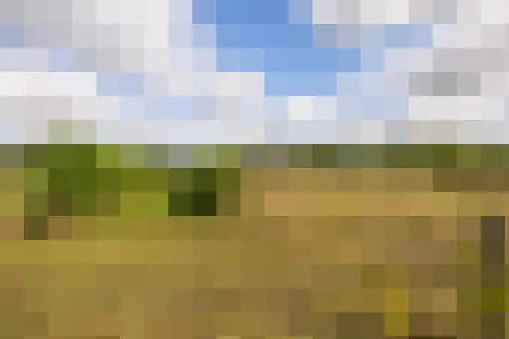 Ewijkseweg 4 Overasselt thumbnail 39