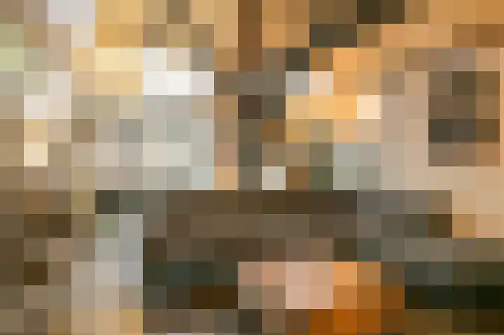 Ewijkseweg 4 Overasselt thumbnail 4