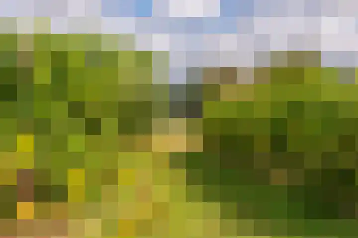 Ewijkseweg 4 Overasselt thumbnail 40
