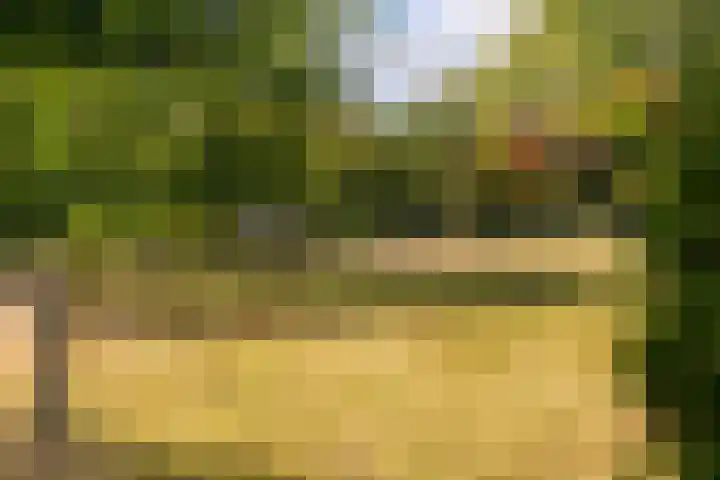 Ewijkseweg 4 Overasselt thumbnail 41