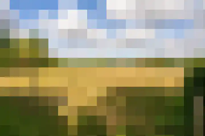 Ewijkseweg 4 Overasselt thumbnail 42