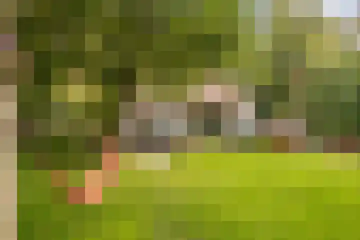 Ewijkseweg 4 Overasselt thumbnail 43