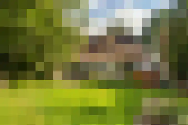 Ewijkseweg 4 Overasselt thumbnail 44