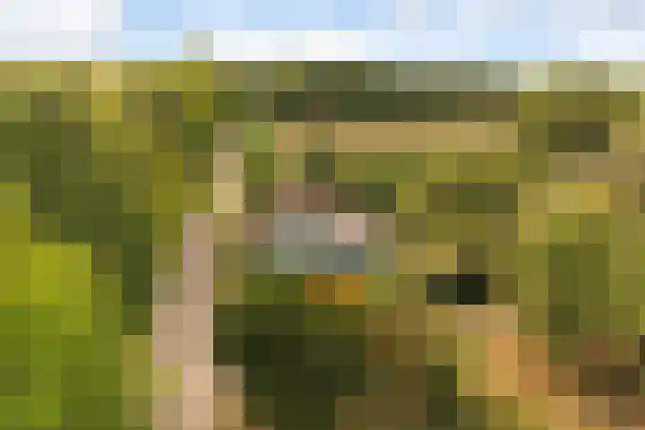 Ewijkseweg 4 Overasselt thumbnail 45