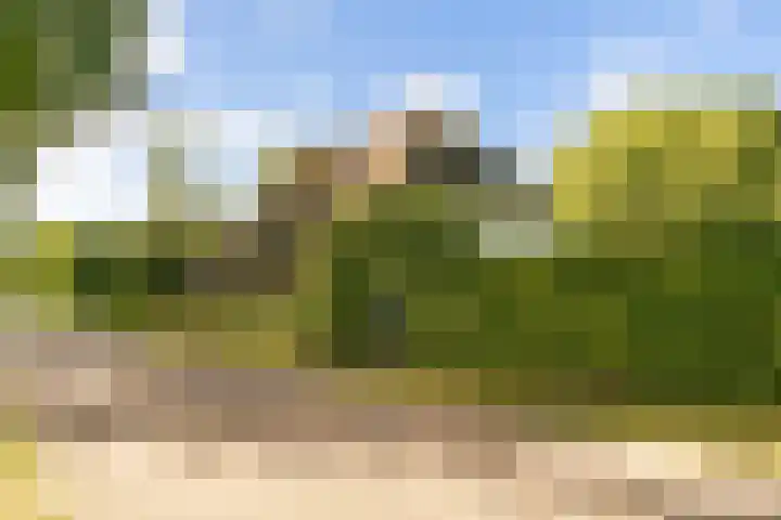 Ewijkseweg 4 Overasselt thumbnail 49