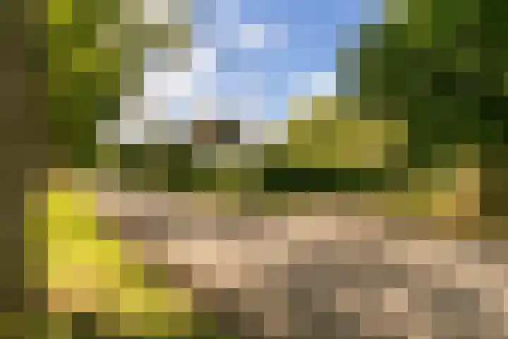 Ewijkseweg 4 Overasselt thumbnail 50