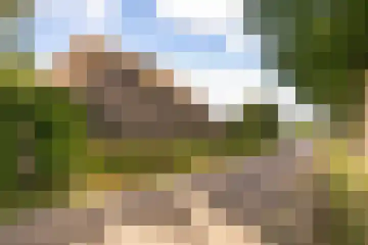 Ewijkseweg 4 Overasselt thumbnail 51