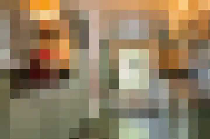 Ewijkseweg 4 Overasselt thumbnail 7