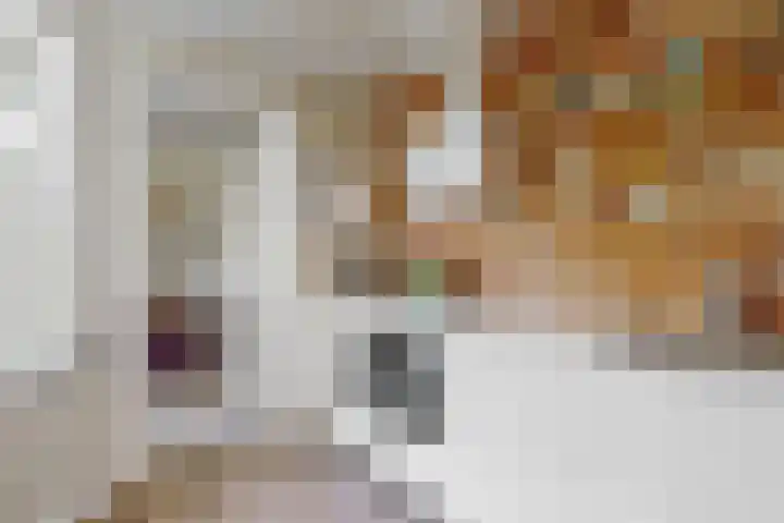Ewislaan 21 Heiloo thumbnail 19