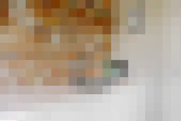 Ewislaan 21 Heiloo thumbnail 20