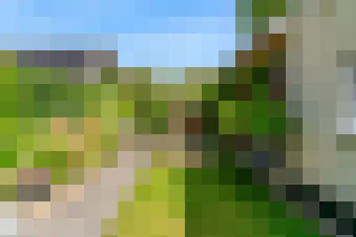 Ewislaan 21 Heiloo thumbnail 41
