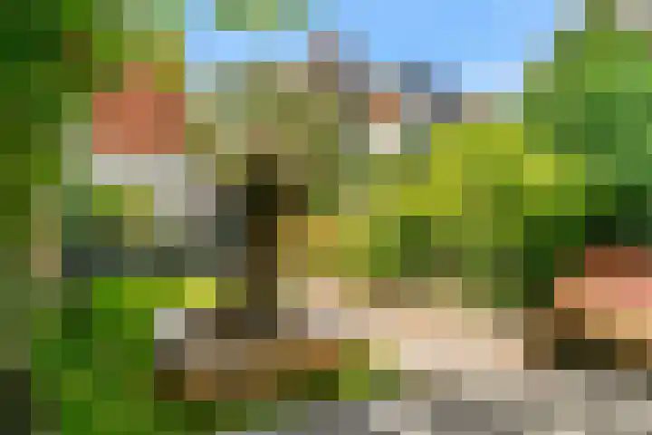 Ewislaan 21 Heiloo thumbnail 46