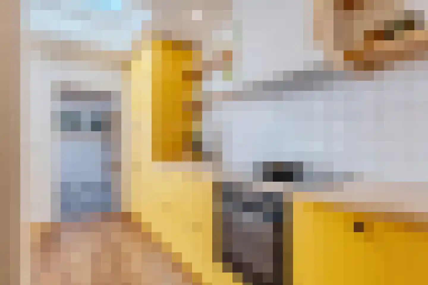 Ewisweg 24 Heiloo thumbnail 10