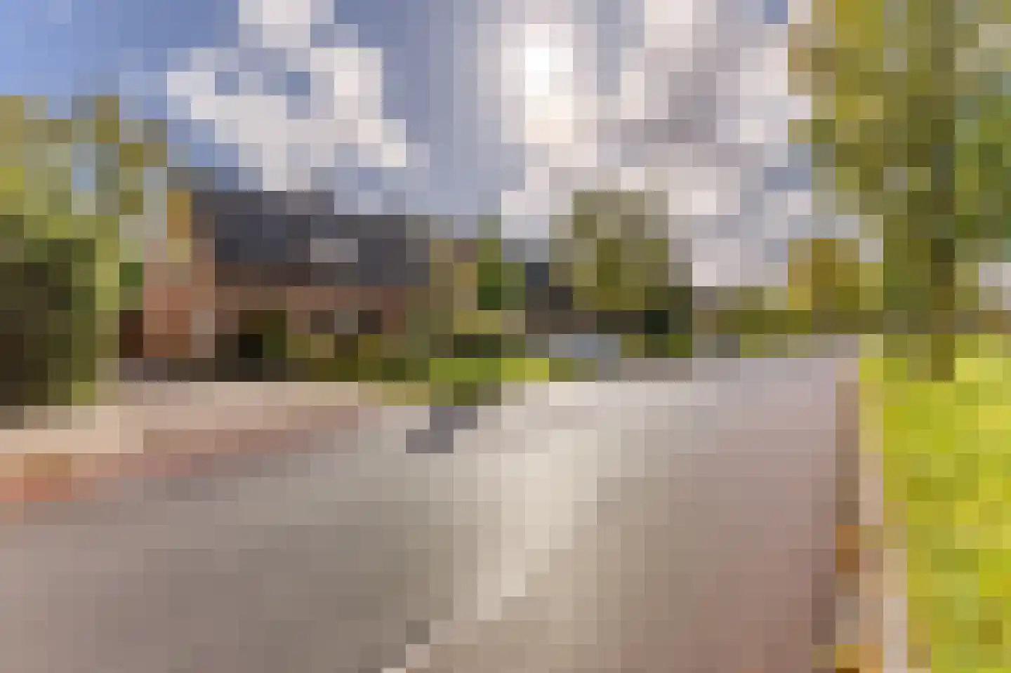 Ewisweg 24 Heiloo thumbnail 29
