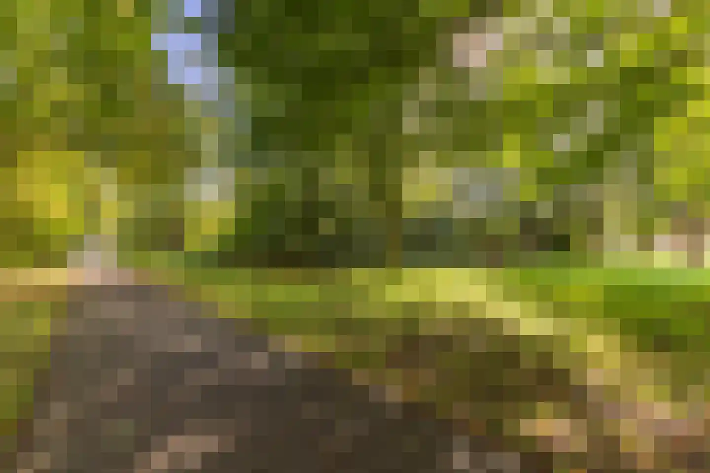 Ewisweg 24 Heiloo thumbnail 32