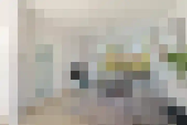 Ewisweg 56 Heiloo thumbnail 6