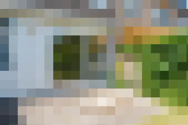 Ewisweg 68 Heiloo thumbnail 25