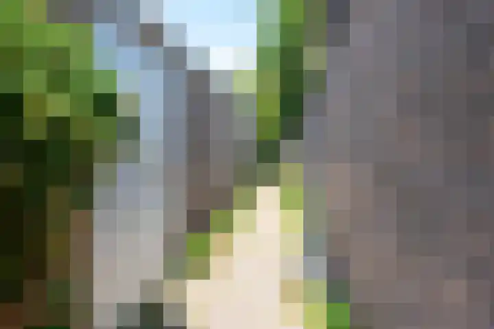 Ewisweg 68 Heiloo thumbnail 26