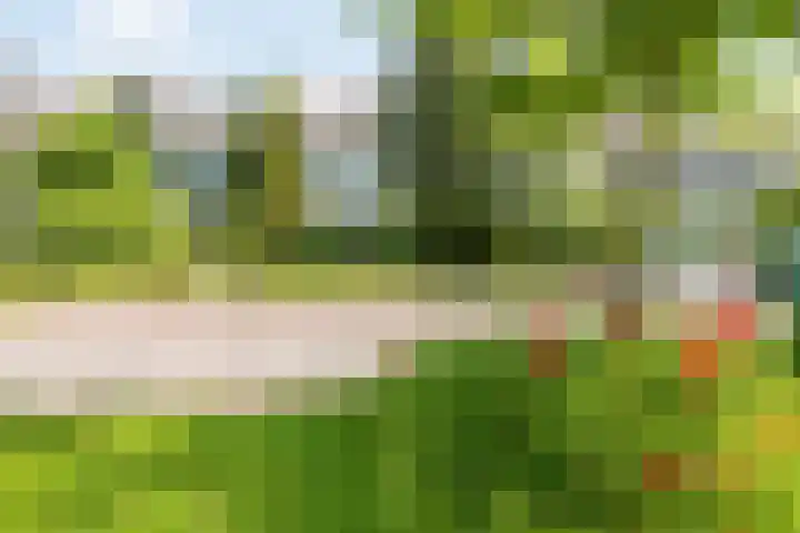 Ewisweg 68 Heiloo thumbnail 28