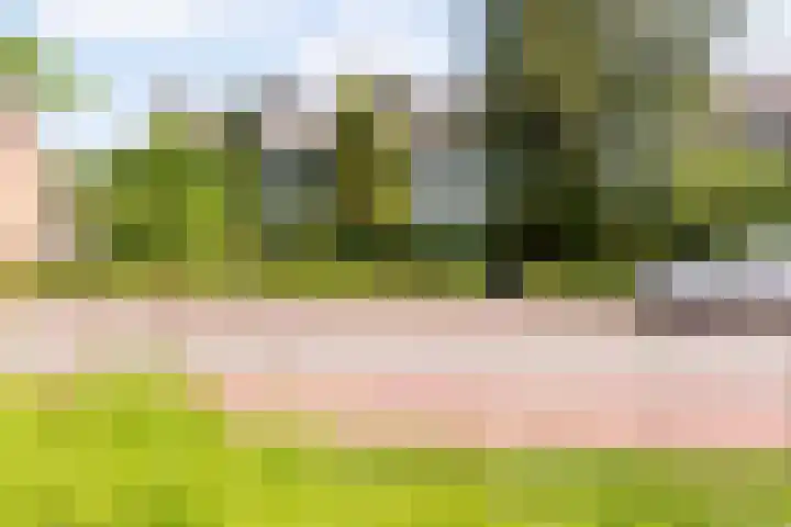 Ewisweg 68 Heiloo thumbnail 29