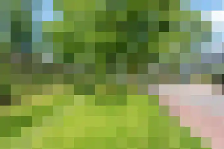 Ewisweg 68 Heiloo thumbnail 30