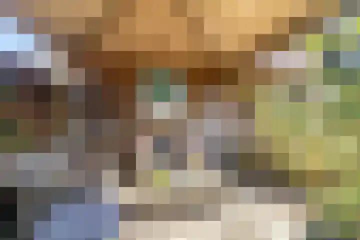 Ewisweg 70 Heiloo thumbnail 13